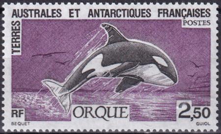 French Southern & Antartic Territories 186 Whale