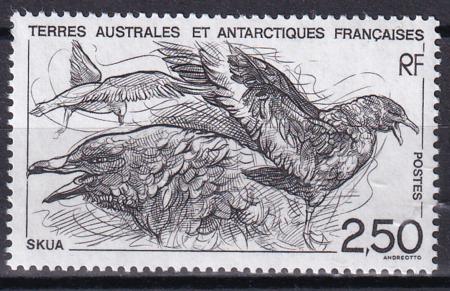 French Southern & Antartic Territories 187 Birds