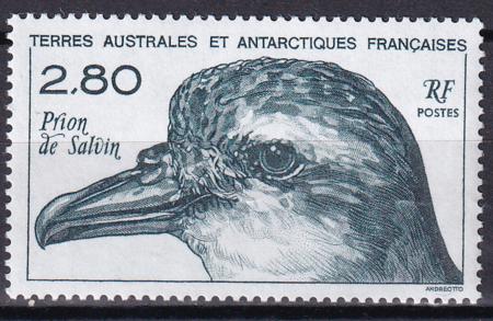 French Southern & Antartic Territories 197 Bird