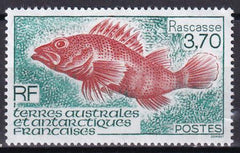 French Southern & Antartic Territories 201 Fish