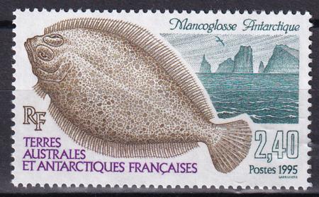 French Southern & Antartic Territories 204 Fish