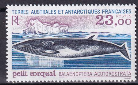 French Southern & Antartic Territories 208 Whale