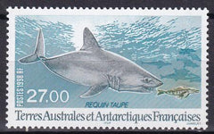 French Southern & Antartic Territories 242 Shark