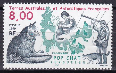 French Southern & Antartic Territories 251 Cat