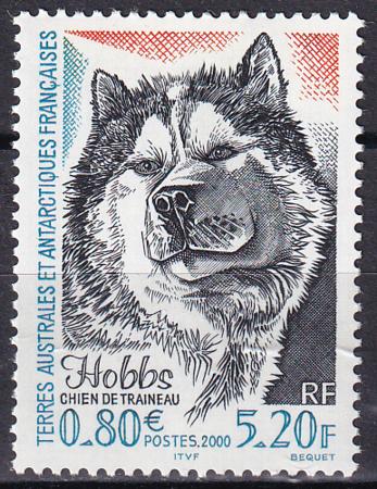 French Southern & Antartic Territories 264 Sled Dog Hobbs