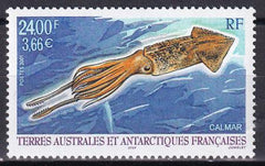 French Southern & Antartic Territories 287 Squid