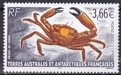 French Southern & Antartic Territories 308 Crab