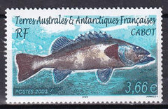 French Southern & Antartic Territories 323 Chub