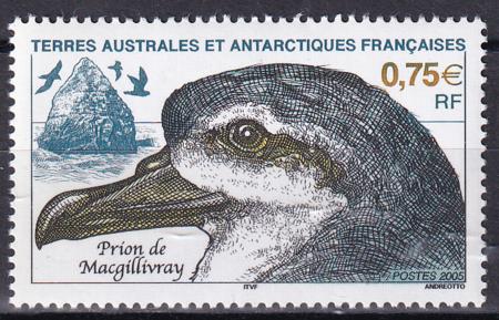 French Southern & Antartic Territories 349 Macgillivrary's Prion