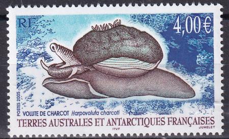 French Southern & Antartic Territories 352 Snail