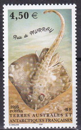 French Southern & Antartic Territories 353 Murray's Ray