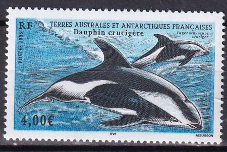 French Southern & Antartic Territories 369 Dolphin