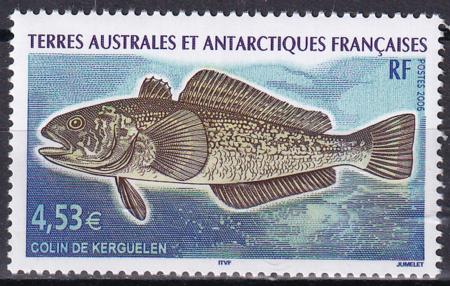 French Southern & Antartic Territories 370 Hake