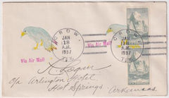 US Texas  Crow 763 Fancy Cancel Cover  Colorful Crow Cancel