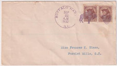 US Illinois  Buffalo Hart 706  Fancy Cancel Cover