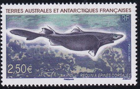 French Southern & Antartic Territories 415 Shark