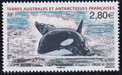 French Southern & Antartic Territories 428 Orca Whale