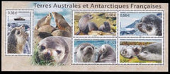 French Southern & Antartic Territories 430 Sea Lions S/S