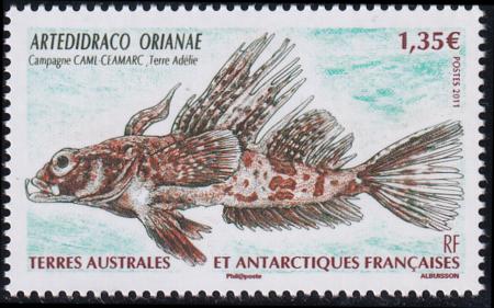 French Southern & Antartic Territories 441 Fish