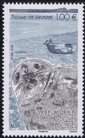 French Southern & Antartic Territories 456 Seals