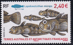 French Southern & Antartic Territories 500 Fish