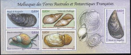 French Southern & Antartic Territories 502 Mollusks