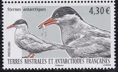 French Southern & Antartic Territories 519 Terns