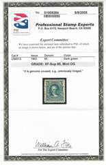 US 313 US Bureau and Regular Issues  PSE Certs: M H Beautiful XF-Sup95