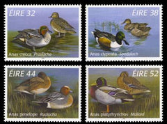 Ireland 1024 - 27 Ducks