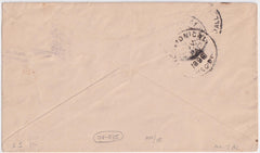 US Hawaii 1896 #57 Pair on Commercial Cover to Tax Collector in California