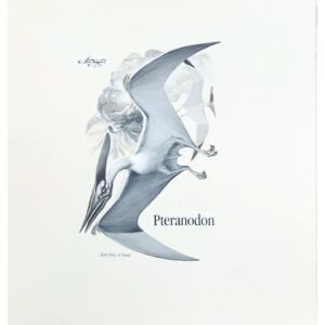 US Artmaster Scott 2423 1989 Prehistoric Animals - Pteranodon Artwork