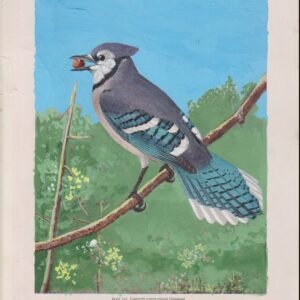 US Cachet /Stamp Artwork - Colorano #1984