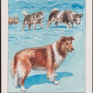 US Cachet /Stamp Artwork - Colorano #2100