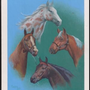 US Cachet /Stamp Artwork - Colorano #2155-58