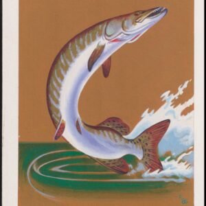 US Cachet /Stamp Artwork - Colorano #2205