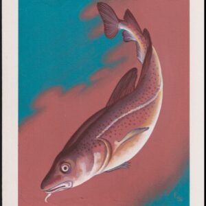 US Cachet /Stamp Artwork - Colorano #2206