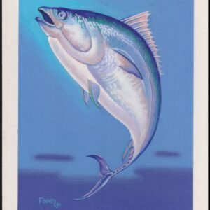 US Cachet /Stamp Artwork - Colorano #2208