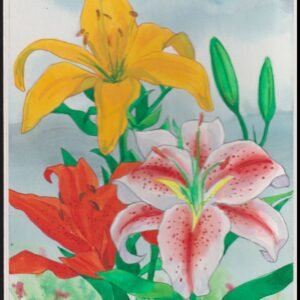 US Cachet /Stamp Artwork - Colorano #2829