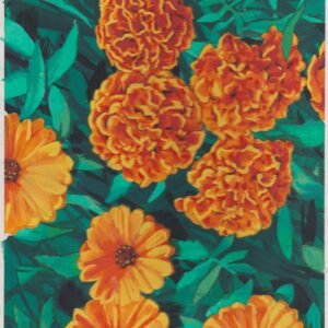 US Cachet /Stamp Artwork - Colorano #2832