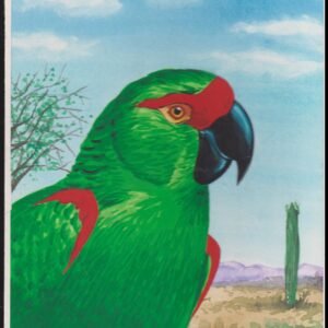 US Cachet /Stamp Artwork - Colorano #3105b