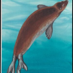 US Cachet /Stamp Artwork - Colorano #3105c