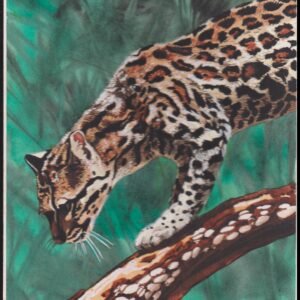 US Cachet /Stamp Artwork - Colorano #3105e