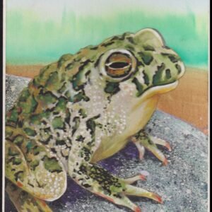 US Cachet /Stamp Artwork - Colorano #3105g