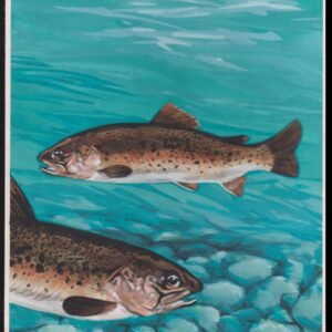 US Cachet /Stamp Artwork - Colorano #3105J