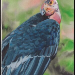 US Cachet /Stamp Artwork - Colorano #3105j