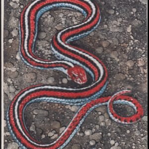 US Cachet /Stamp Artwork - Colorano #3105k