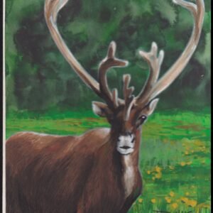 US Cachet /Stamp Artwork - Colorano #3105L