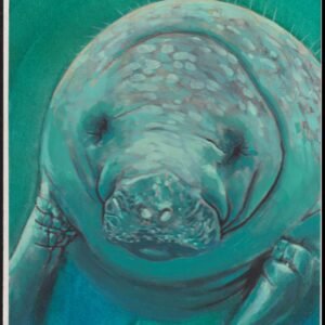 US Cachet /Stamp Artwork - Colorano #3105O