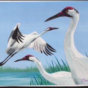 US Cachet /Stamp Artwork - Colorano #3191g