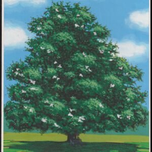 US Cachet /Stamp Artwork - Colorano #3193